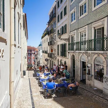 Daire Plum Guide - The Map & Compass Lisboa